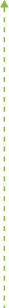 dashe-bottom